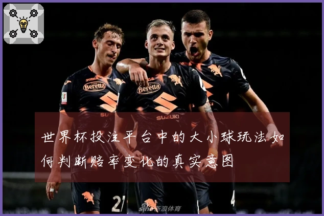 世界杯投注平台中的大小球玩法如何判断赔率变化的真实意图