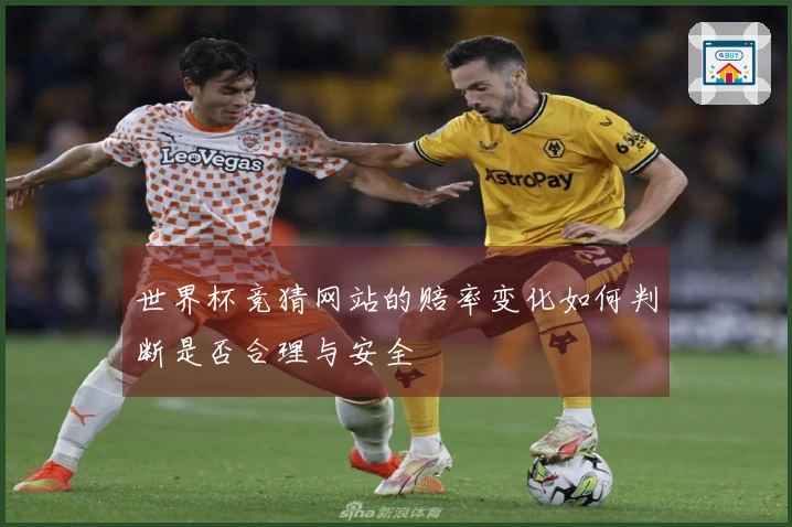 世界杯竞猜网站的赔率变化如何判断是否合理与安全