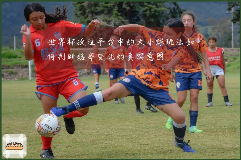 世界杯投注平台中的大小球玩法如何判断赔率变化的真实意图