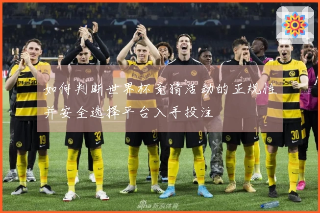 如何判断世界杯竞猜活动的正规性并安全选择平台入手投注
